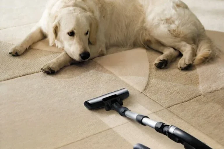 Depositphotos_2283368_m-2015_1-rbkbnivzvbmnr66ib7blyvcd20qv5499bs7ppurgl4